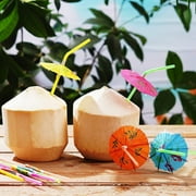 100PC Umbrella Disposable Bendys Drinking Straws For Luau Hawaii Beaches Party for Home Kitchen Tool Men Women Gift